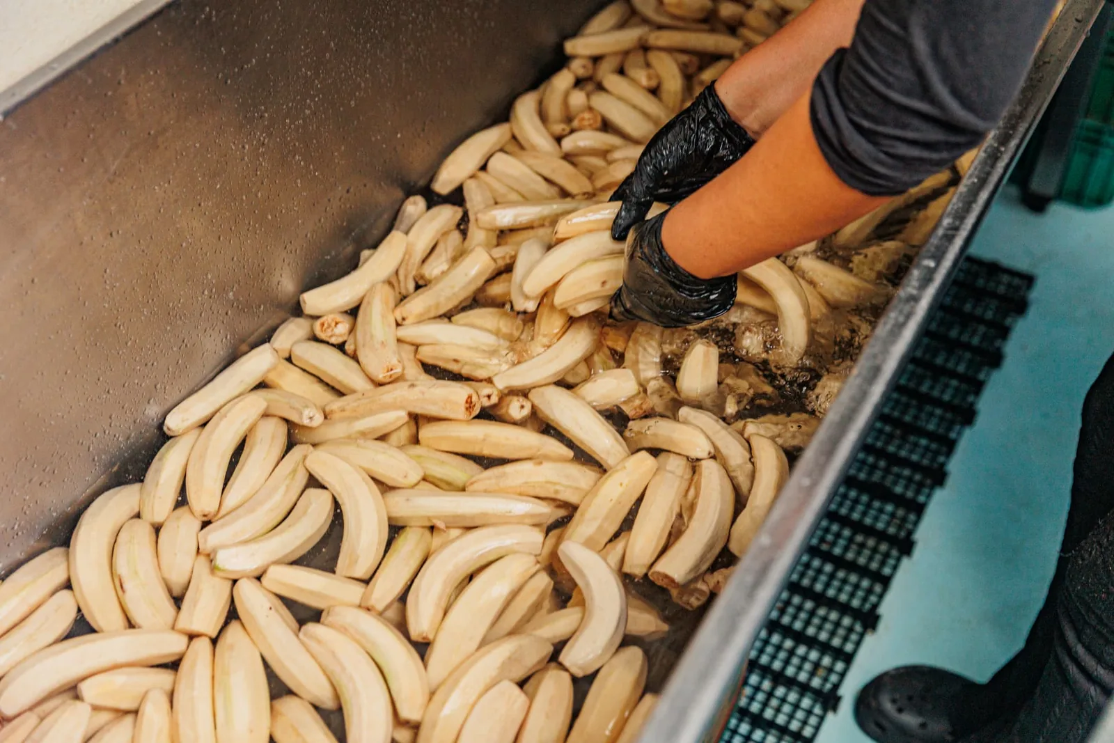 Peeled bananas ready for production